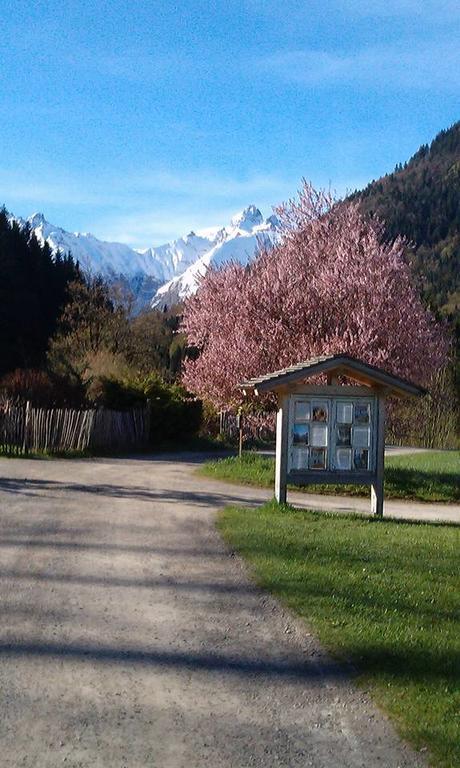 Landhotel Gruben Oberstdorf Buitenkant foto