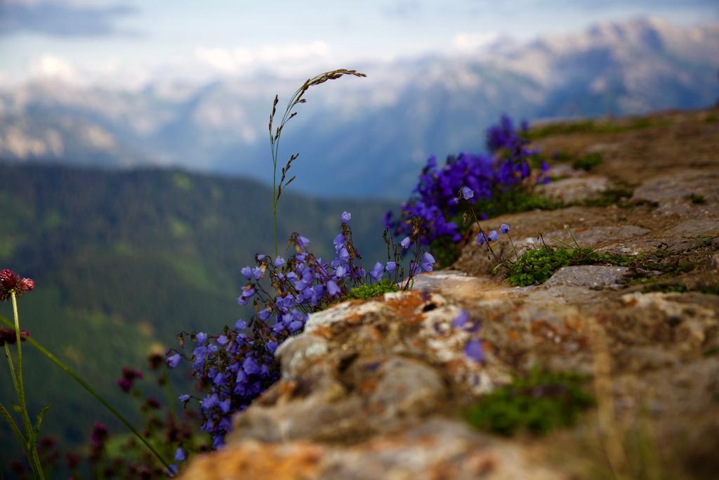 Landhotel Gruben Oberstdorf Buitenkant foto